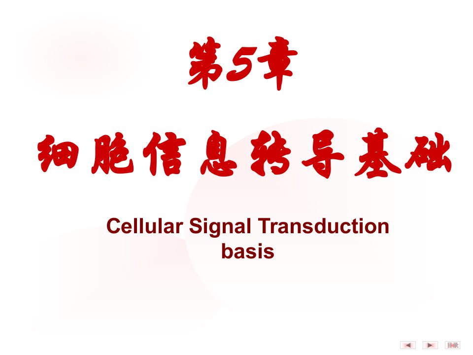 第五章信号转导