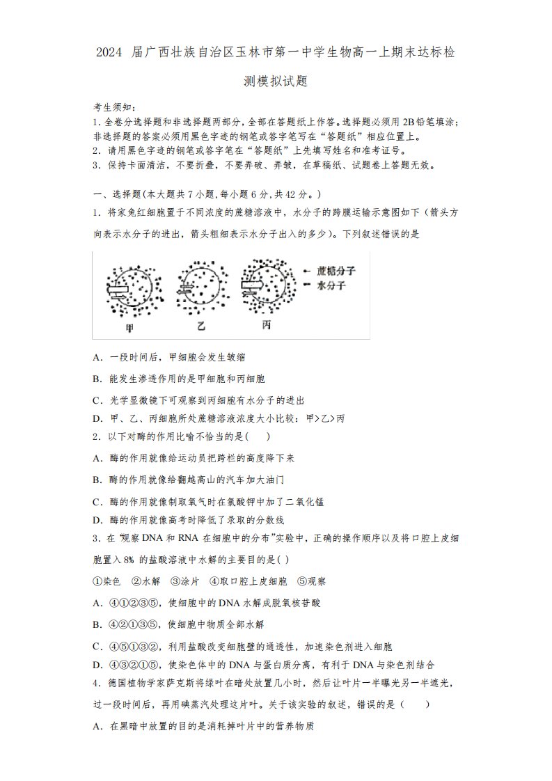 2024届广西壮族自治区玉林市第一中学生物高一上期末达标检测模拟试题含解析