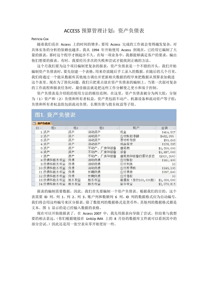 ACCESS预算管理计划资产负债表