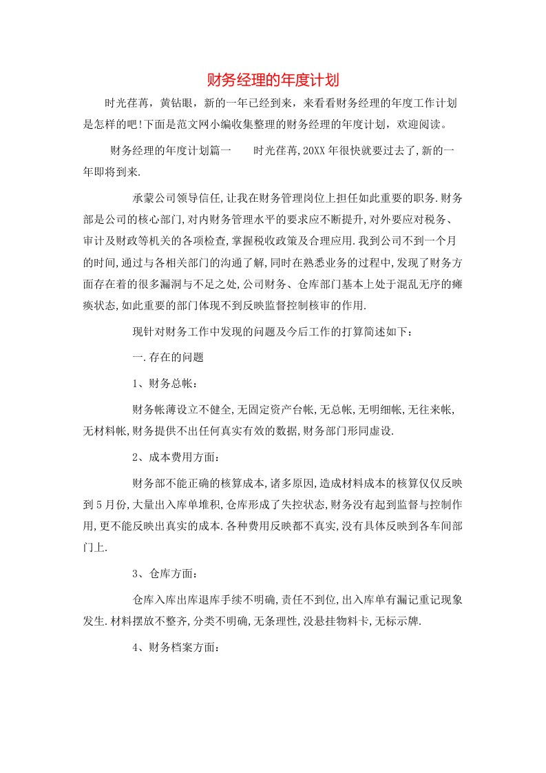 财务经理的年度计划