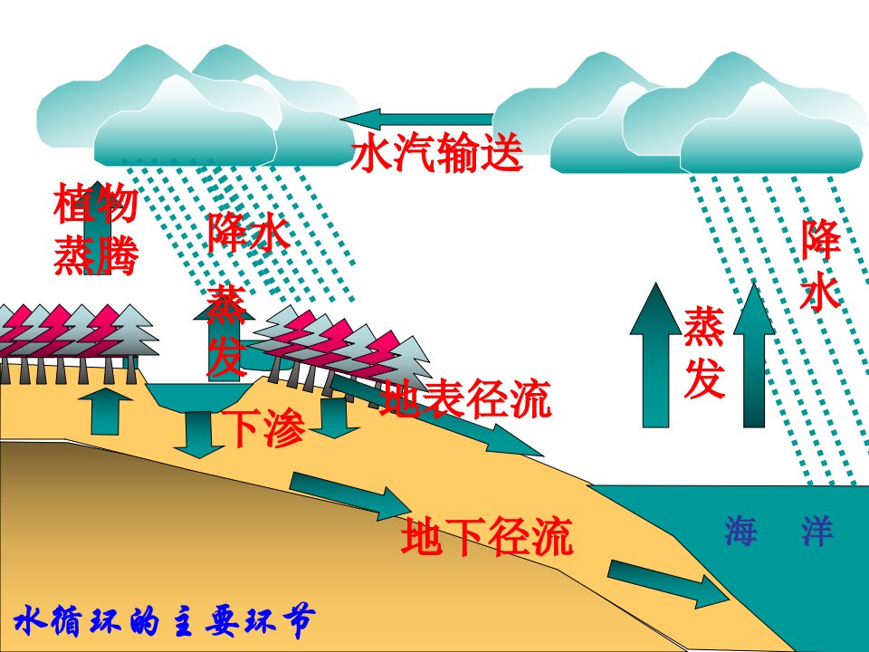 高考地理第一轮复习精品：水循环和洋流