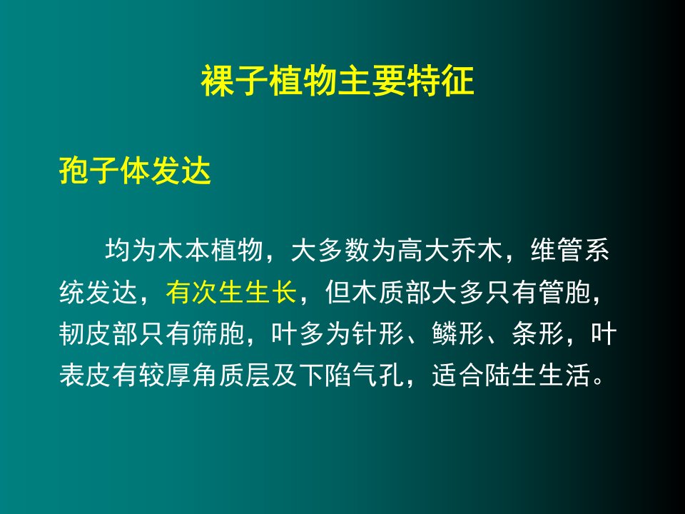 裸子植物主要特征