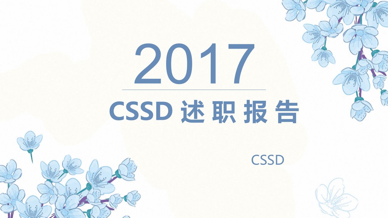 2017年CSSD述职报告