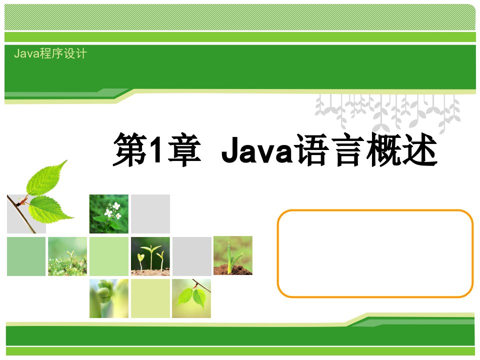 Java教程第1章PPT