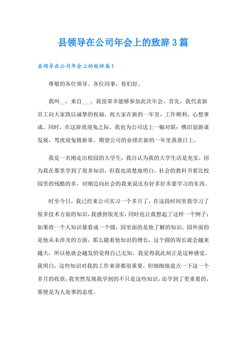 县领导在公司年会上的致辞3篇