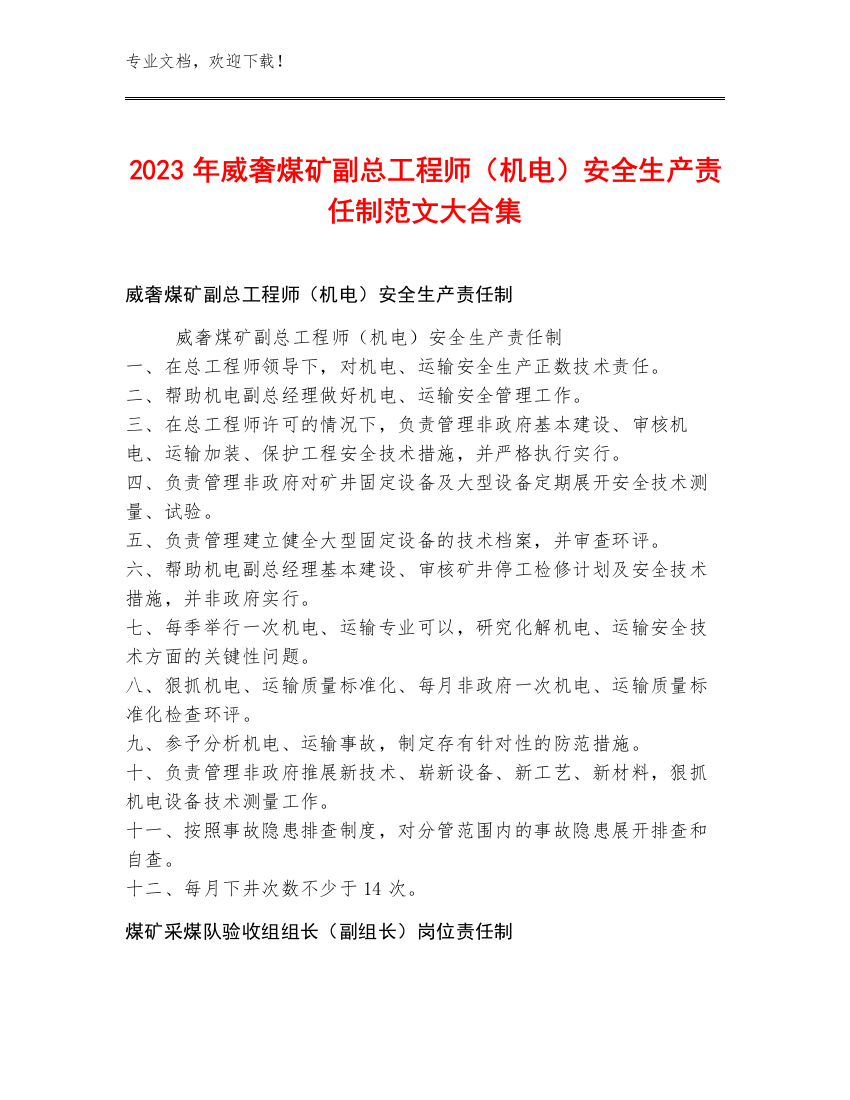 2023年威奢煤矿副总工程师（机电）安全生产责任制范文大合集