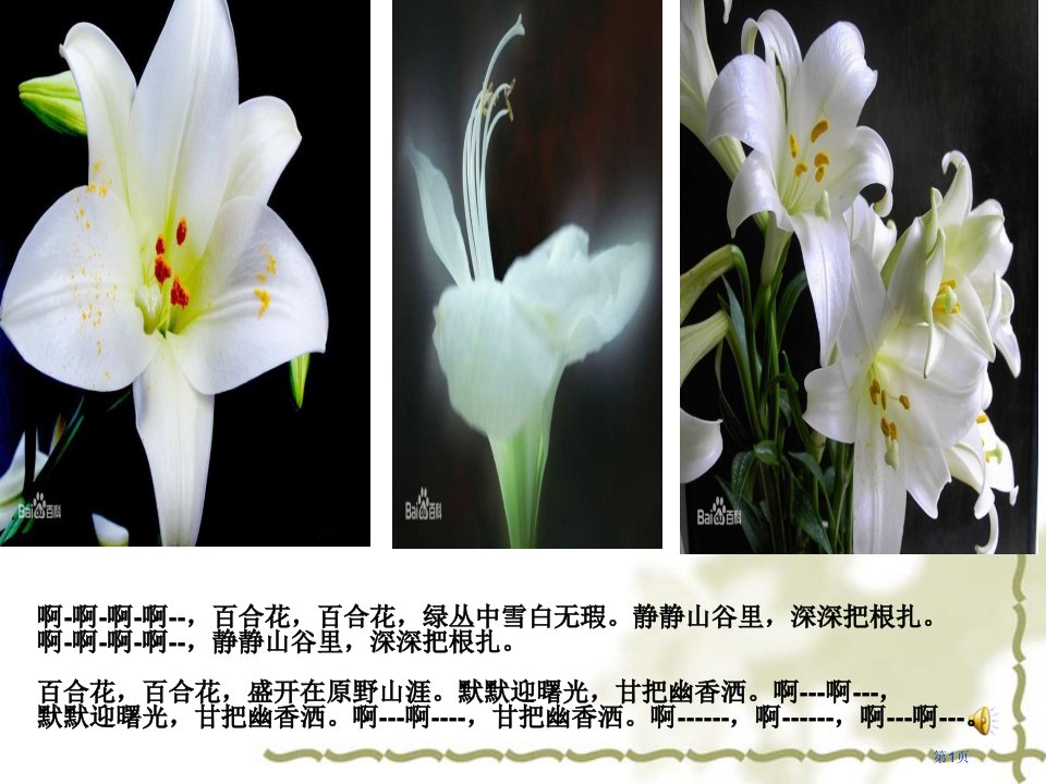 茹志鹃《百合花》名师公开课一等奖省优质课赛课获奖课件