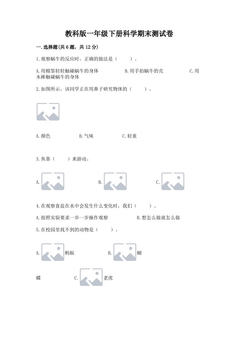 教科版一年级下册科学期末测试卷附完整答案（历年真题）