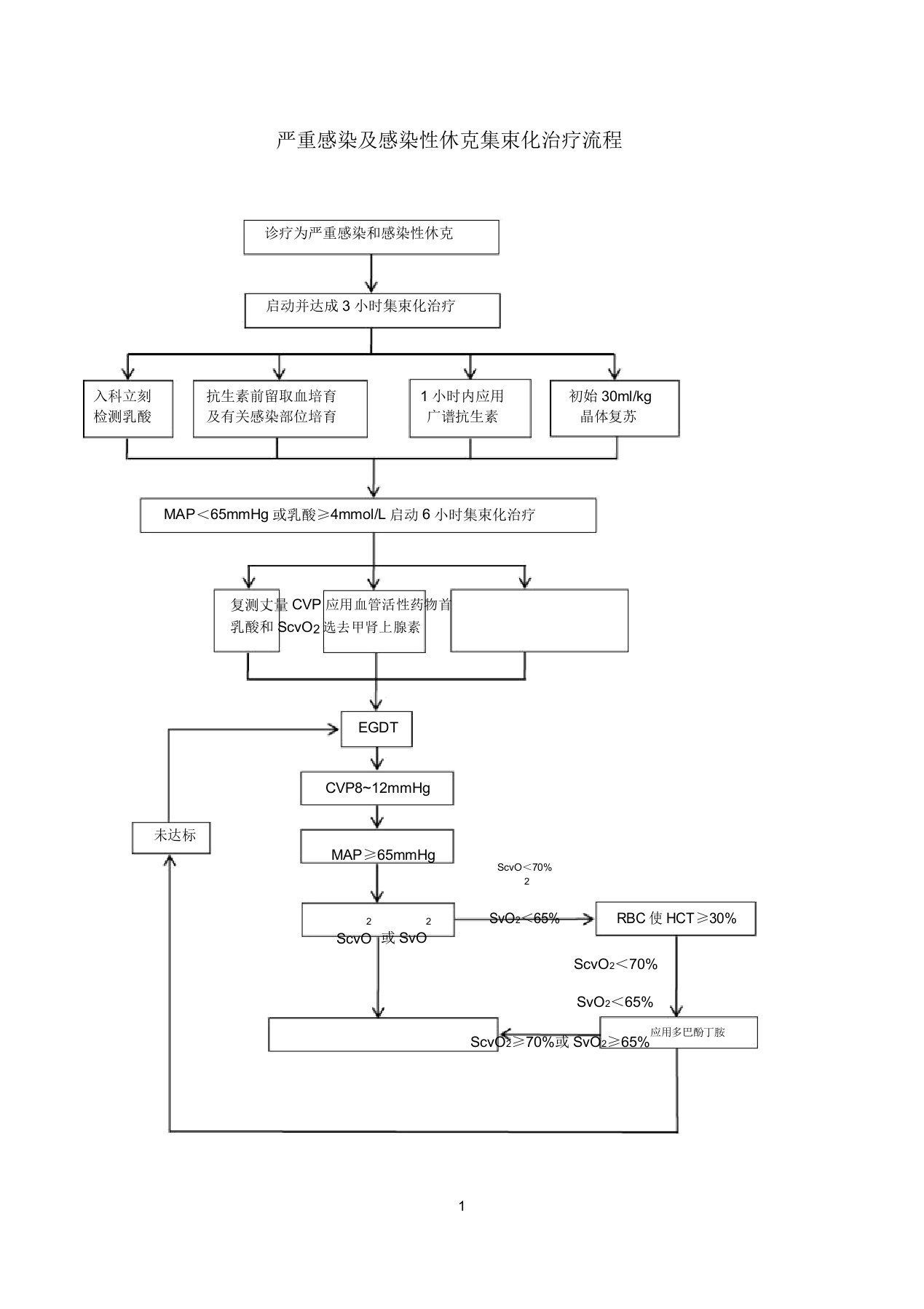 严重感染及感染性休克集束化治疗流程