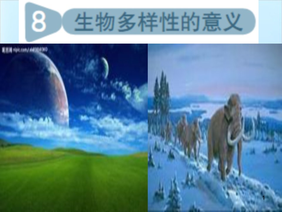 教科版《生物多样性的意义》课件