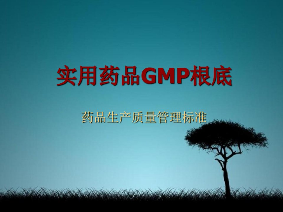 《项目认识理解gm》