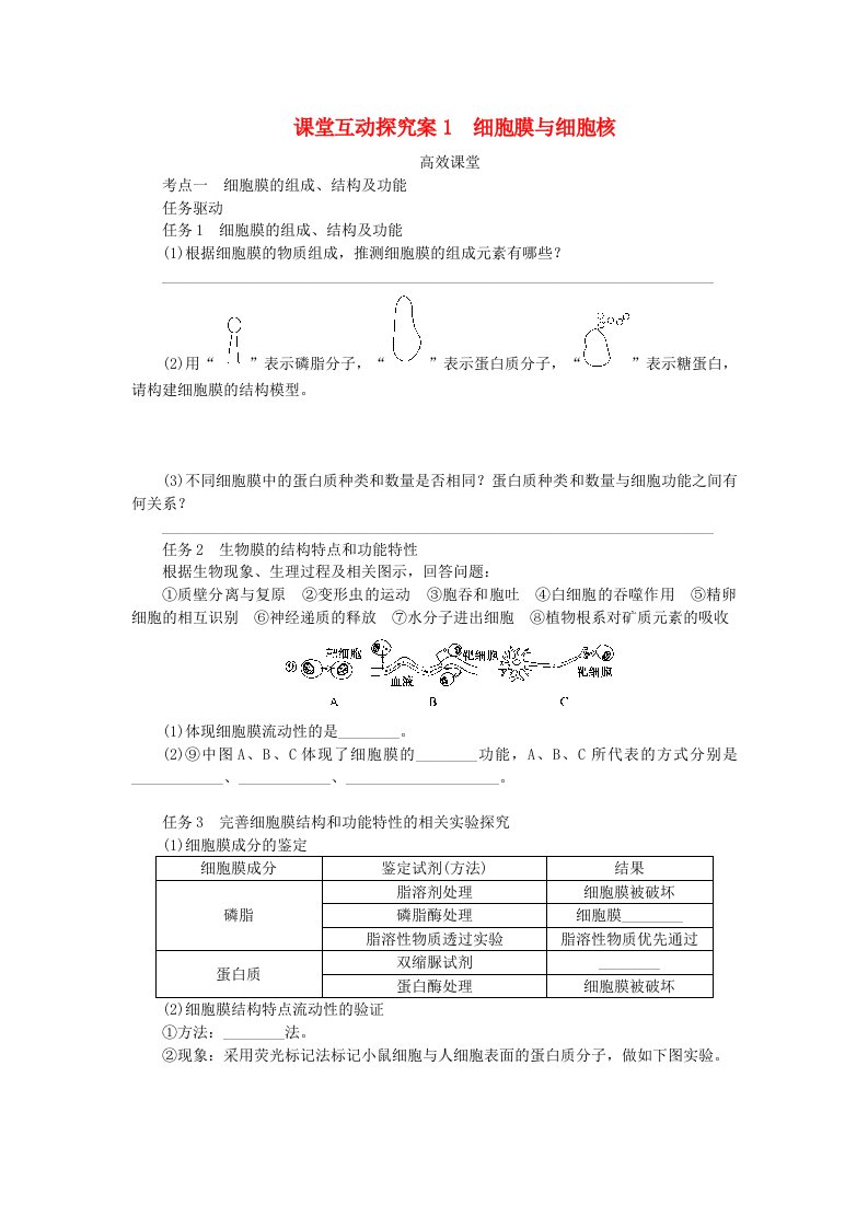 2024版新教材高考生物全程一轮总复习第二单元细胞的基本结构和物质运输功能课堂互动探究案1细胞膜与细胞核学生用书