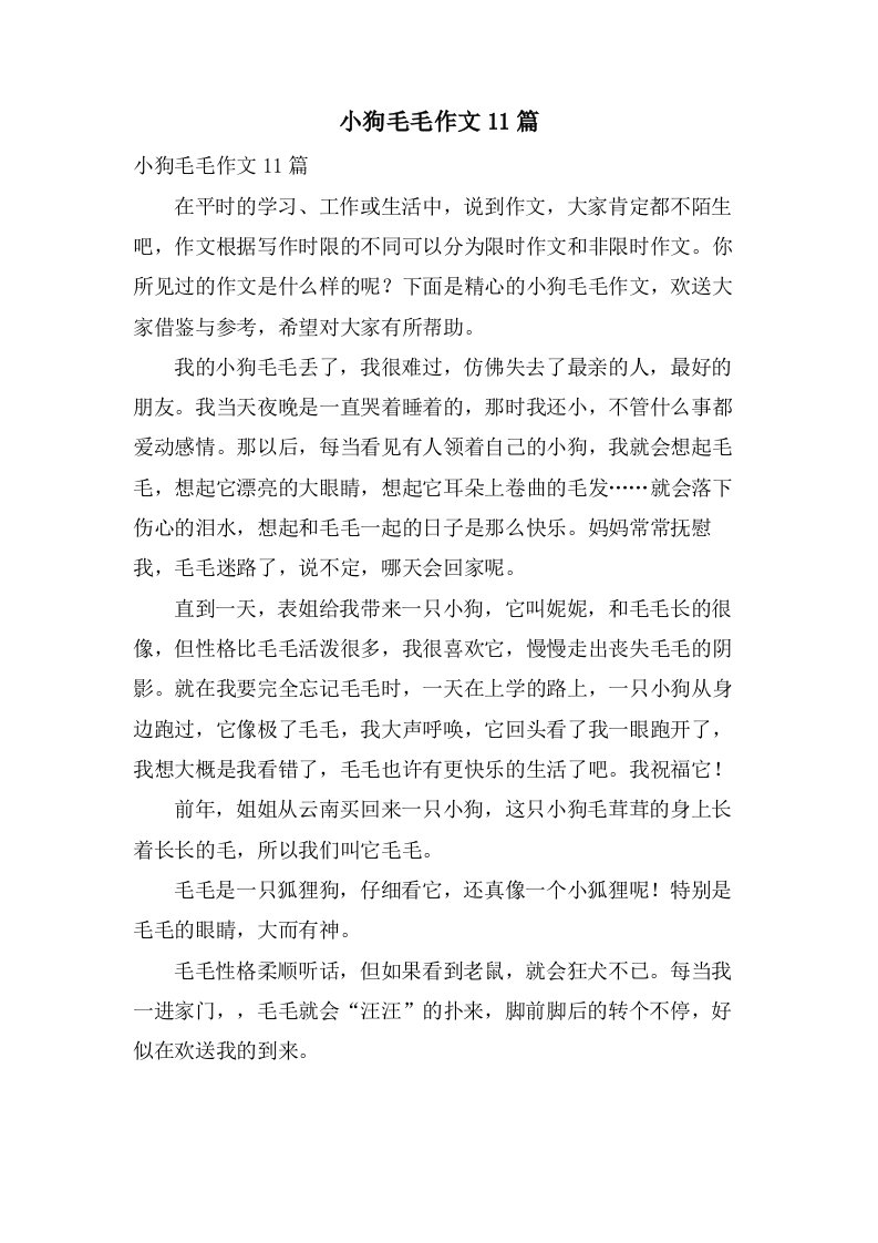 小狗毛毛作文11篇