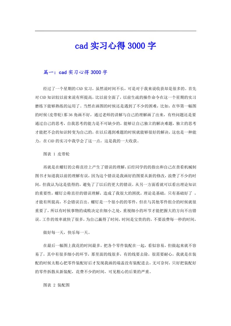 cad实习心得3000字