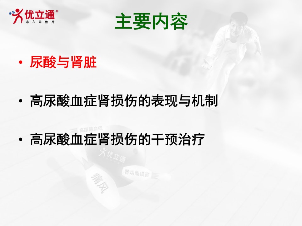 痛风高尿酸与肾脏及降尿酸药物治疗原理详解ppt课件