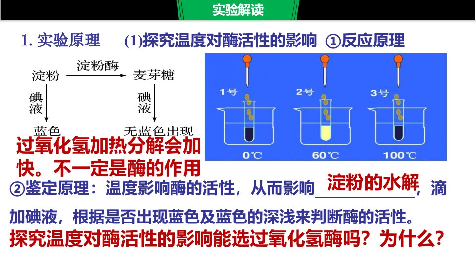 探究影响酶活性的因素ppt课件