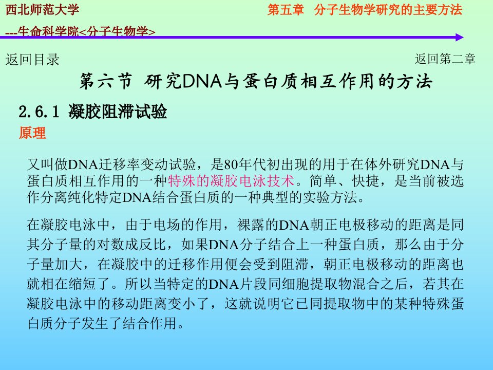 分子生物学的研究方法DNA蛋白质相互作用