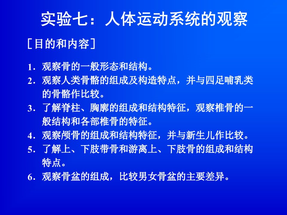 实验一人体运动系统的观察ppt课件