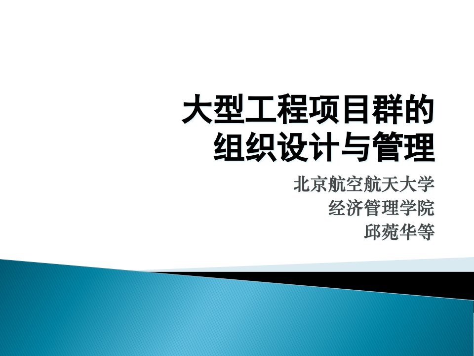 大型工程项目群的组织设计与管理课件