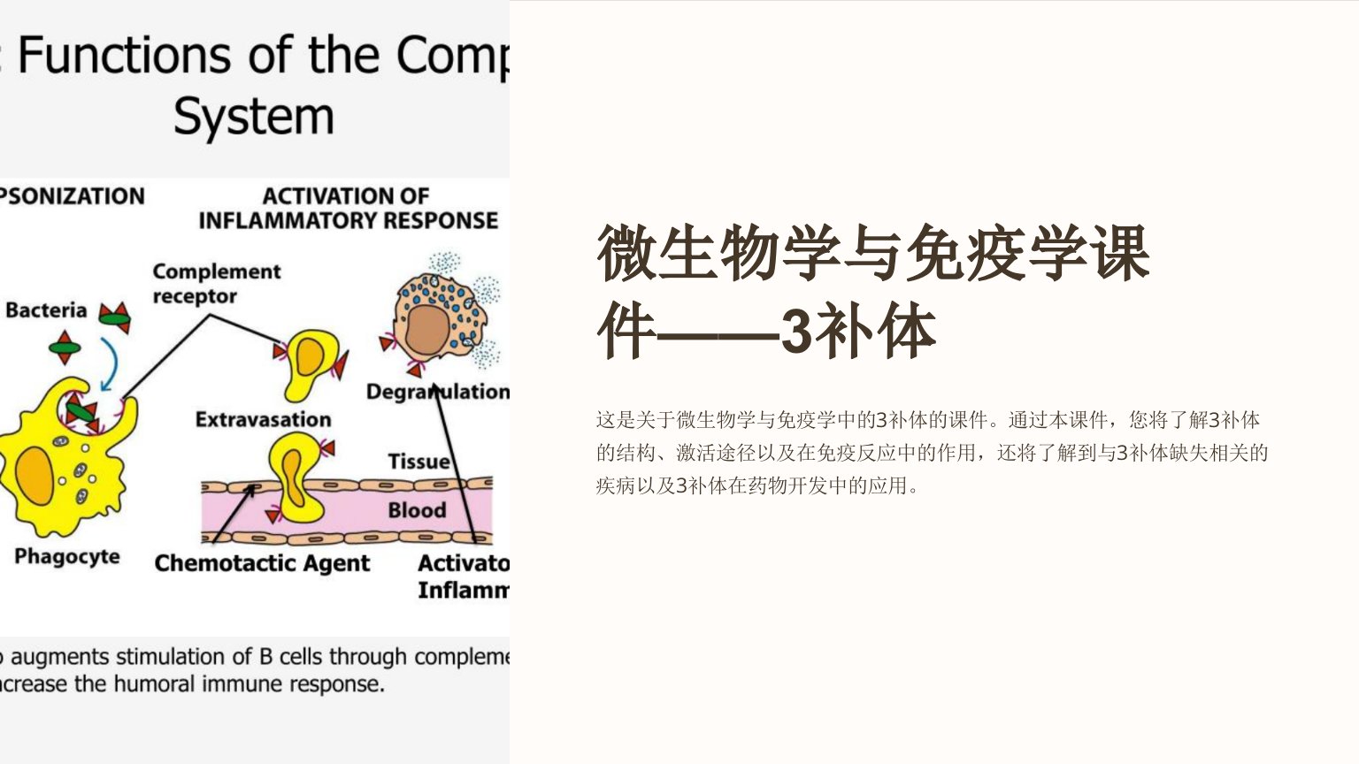 微生物学与免疫学课件——3补体