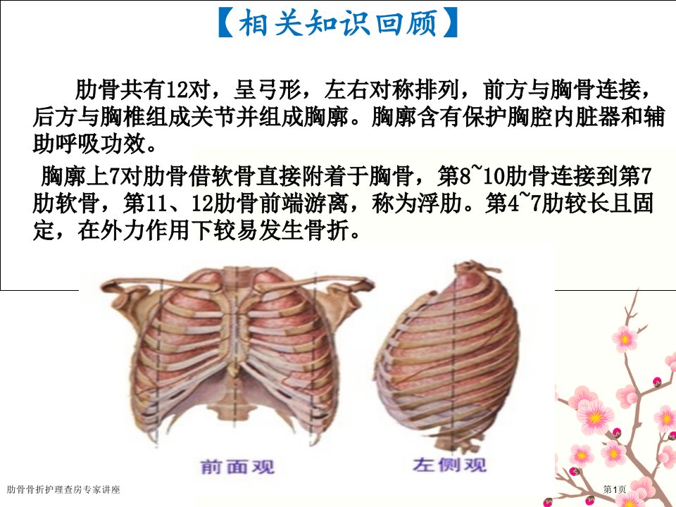 肋骨骨折护理查房课件PPT