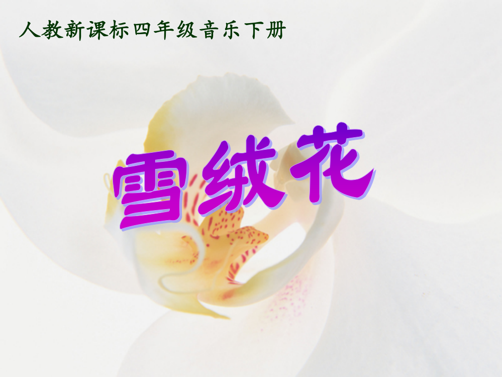 《雪绒花》PPT课件(人教新课标四年级音乐下册课件)