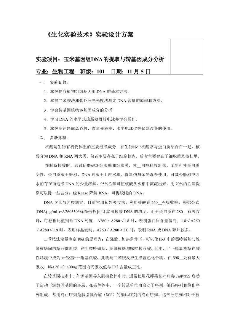 DNA实验设计方案-玉米基因组DNA的提取与转基因成分分析