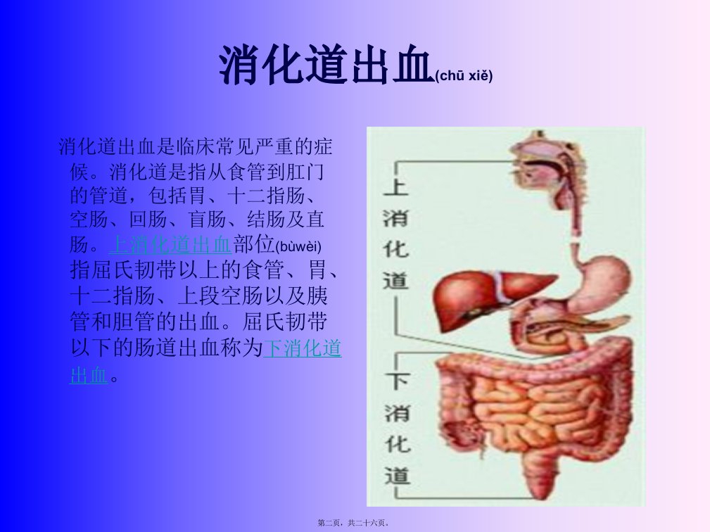 医学专题上消化道出血