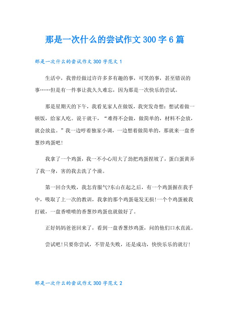 那是一次什么的尝试作文300字6篇