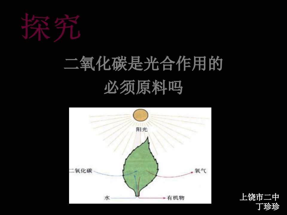 初中生物创新实验说课