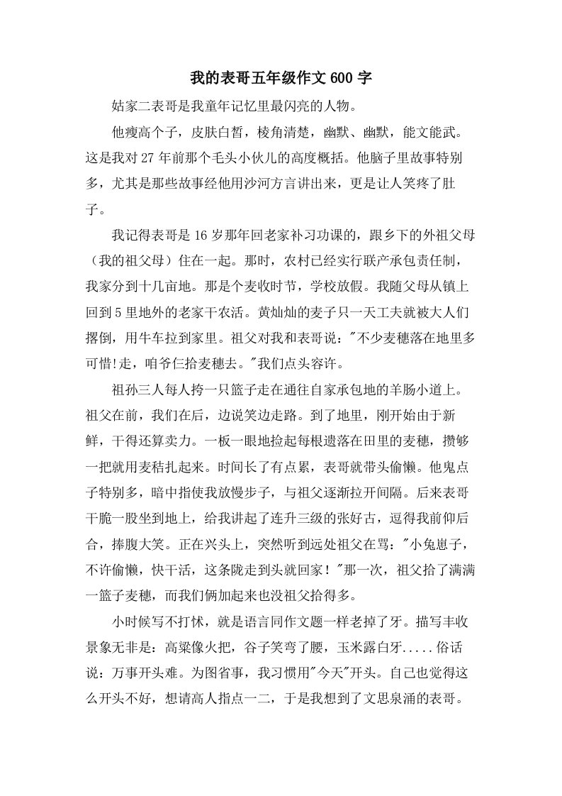 我的表哥五年级作文600字