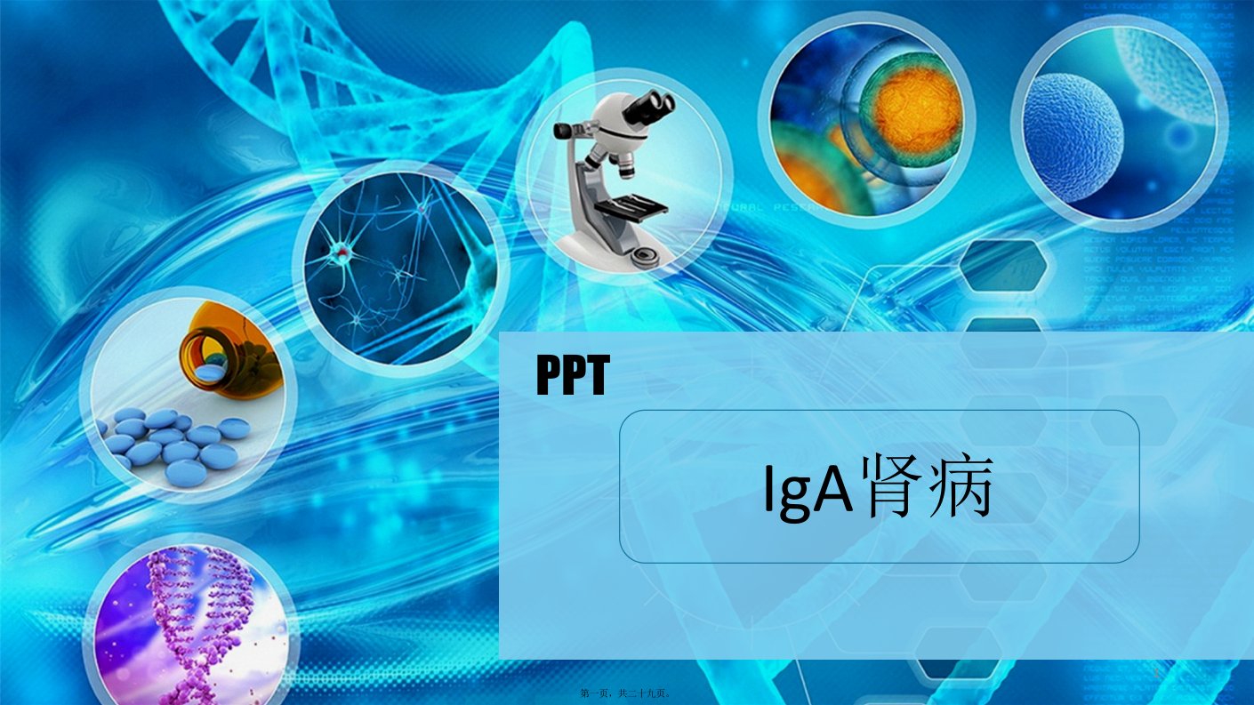 iga肾病(教学示范ppt)ppt课件