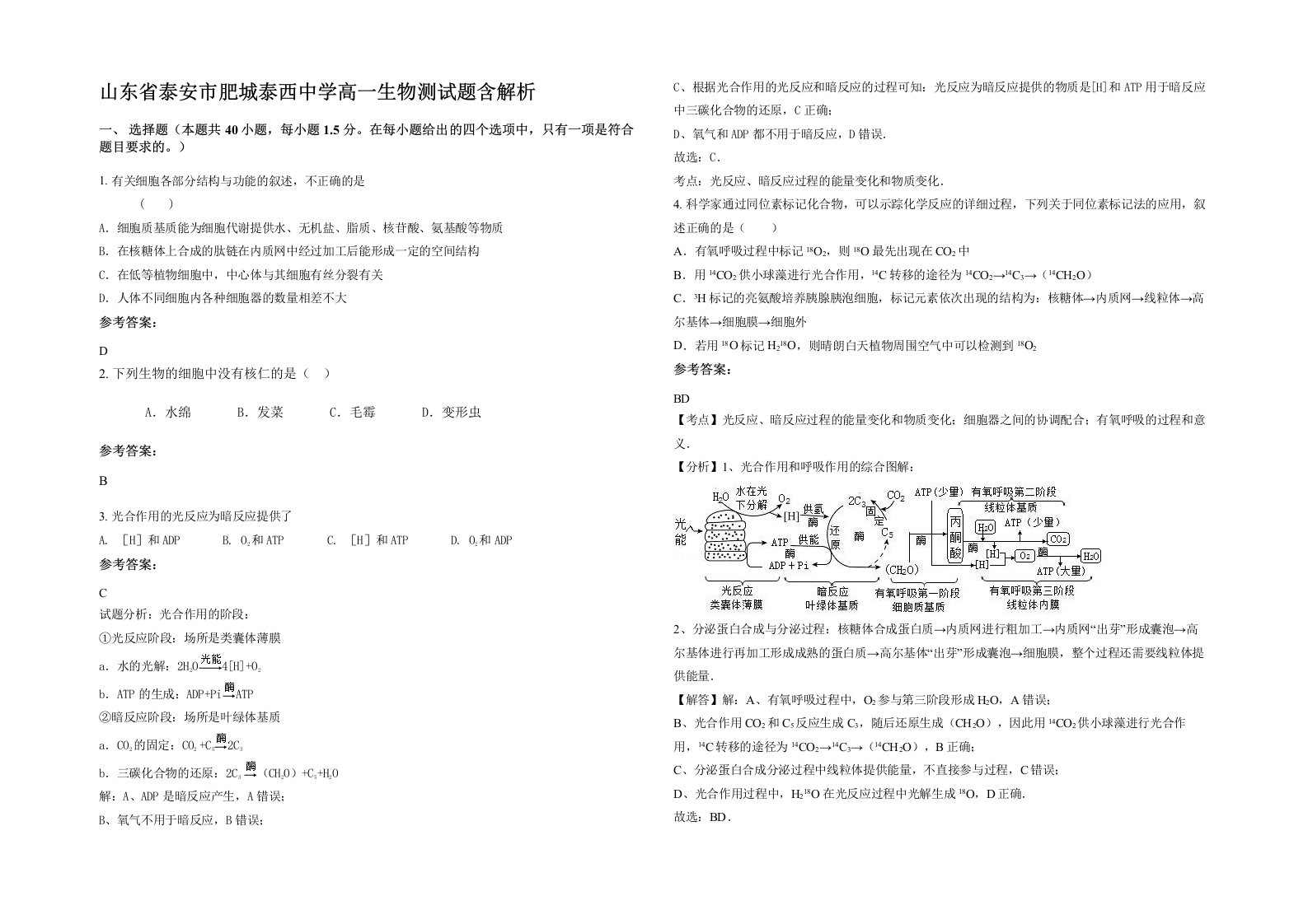 山东省泰安市肥城泰西中学高一生物测试题含解析