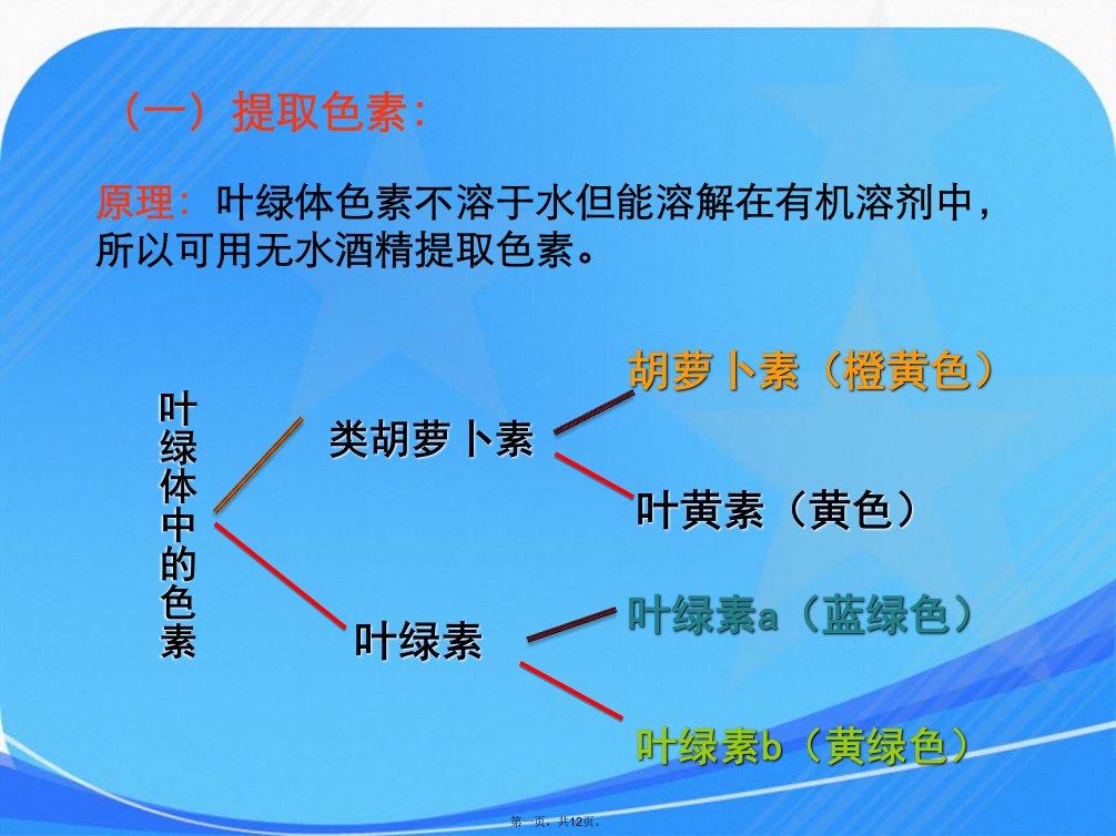 高中实验：叶绿体光合色素的提取与分离