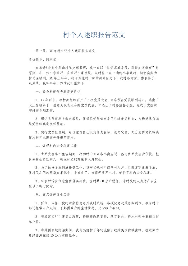 总结报告村个人述职报告范文