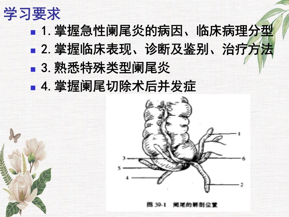 急性阑尾炎病因鉴别诊断和治疗课件