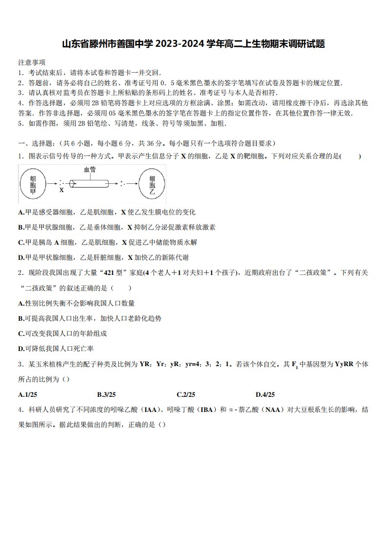 山东省滕州市善国中学2023-2024学年高二上生物期末调研试题含解析549