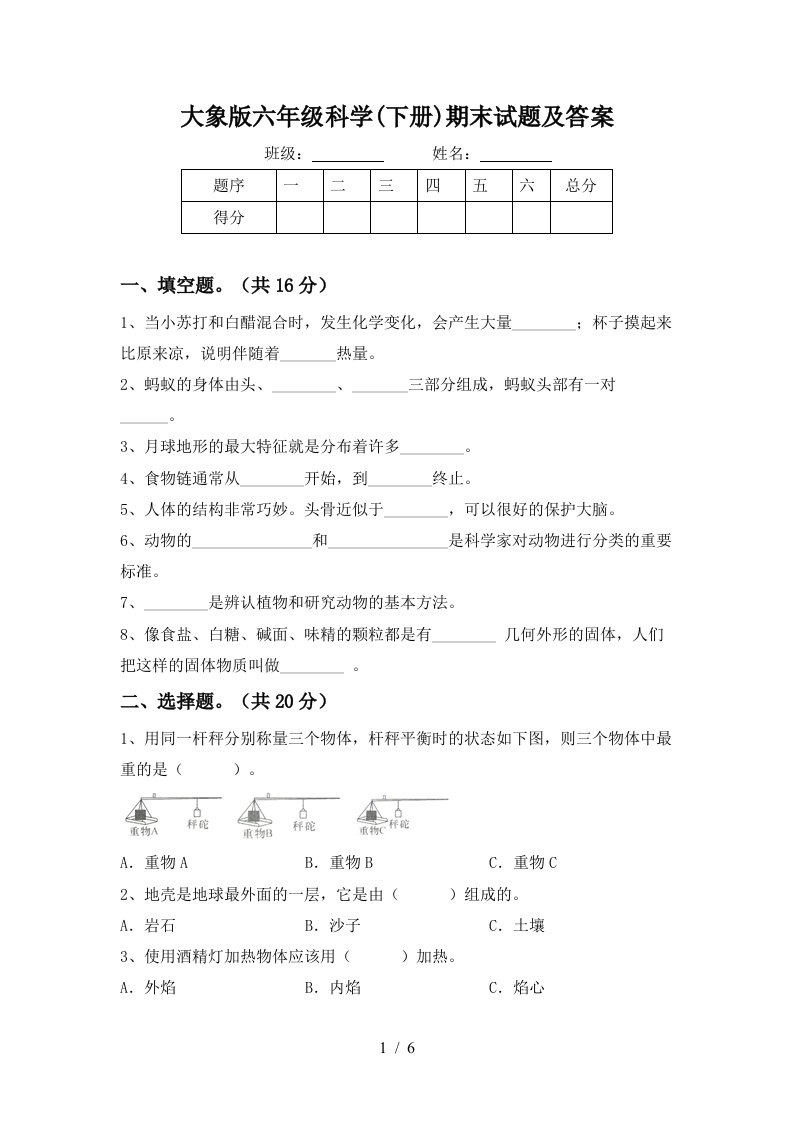 大象版六年级科学下册期末试题及答案