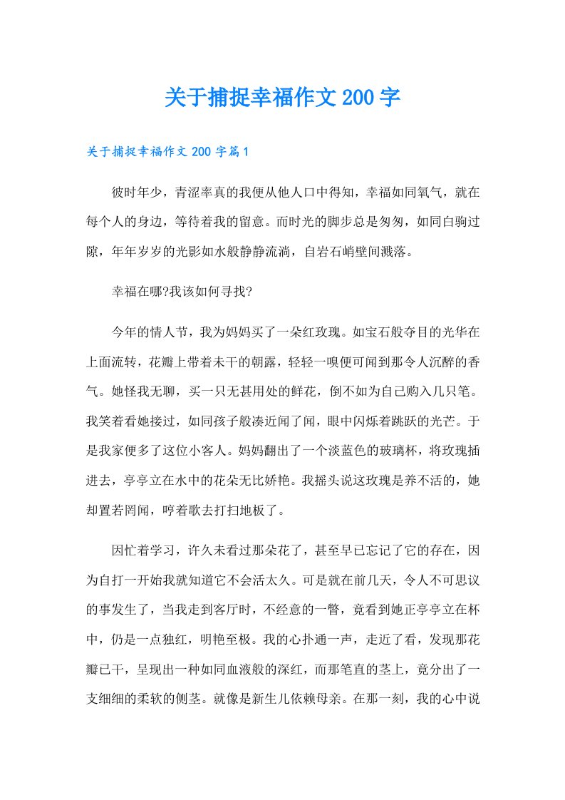 关于捕捉幸福作文200字