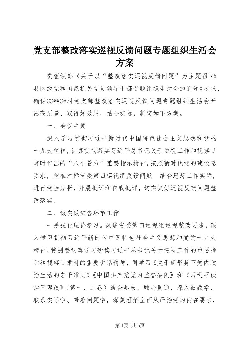 党支部整改落实巡视反馈问题专题组织生活会方案