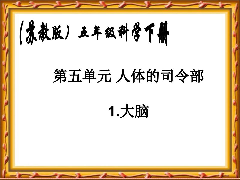 苏教版小学科学五年级下册《大脑》课件