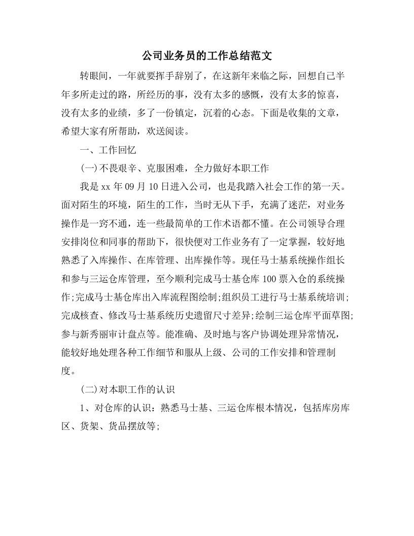 公司业务员的工作总结范文