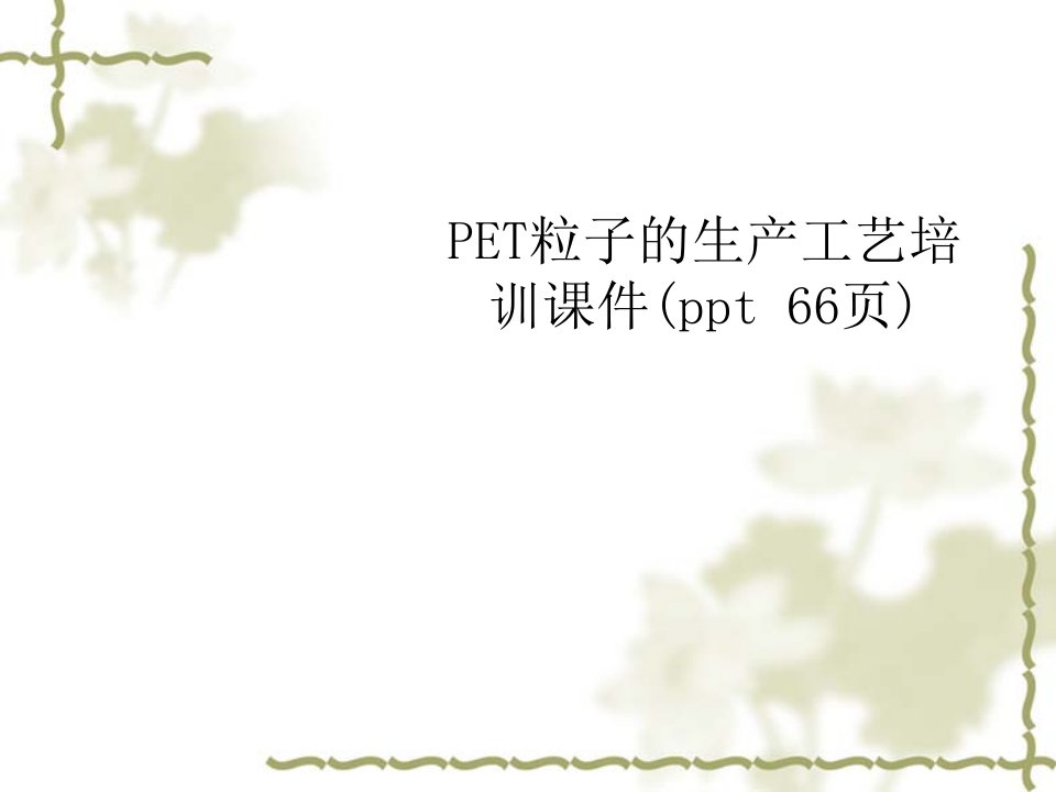 PET粒子的生产工艺培训课件(ppt