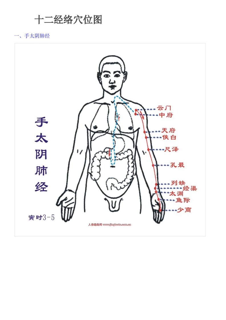 十二经络穴位图