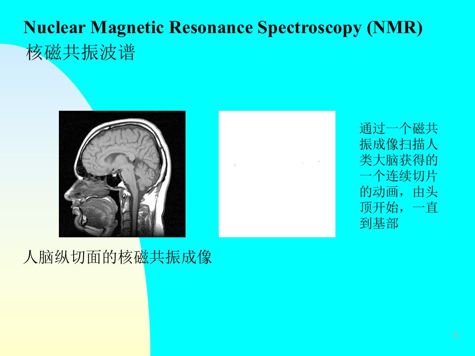《核磁共振波谱》PPT课件