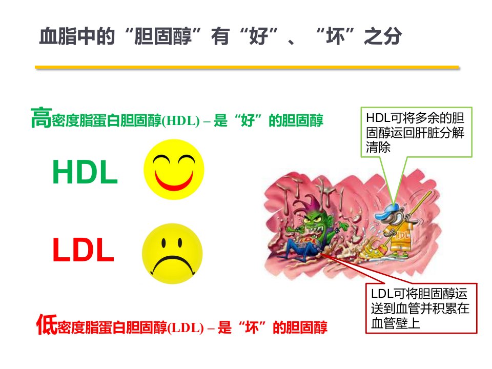 高脂血症患者教育ppt课件