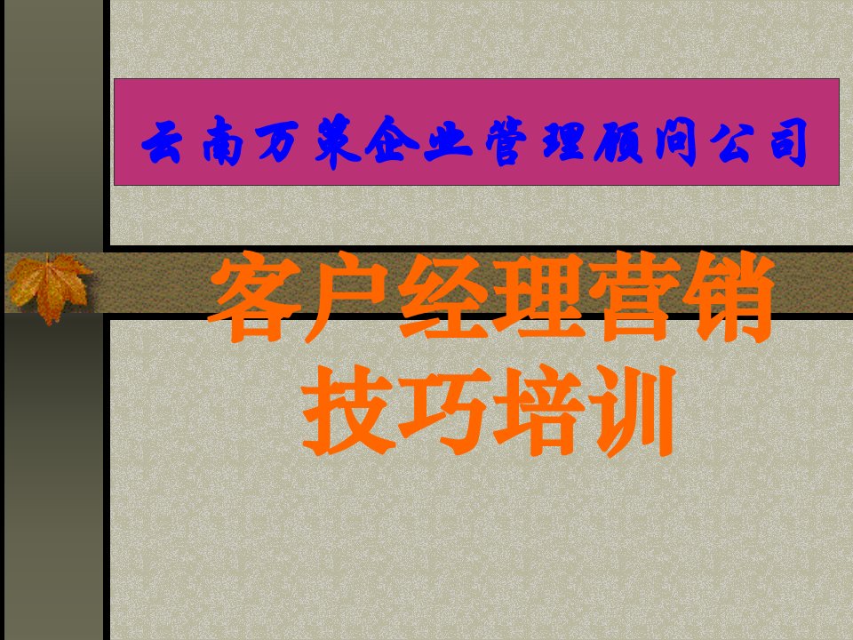 [精选]客户经理营销技巧培训课程