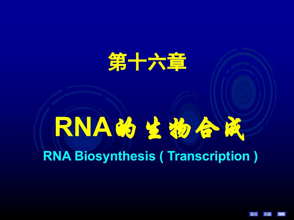 大学课件：生物化学之RNA的生物合成