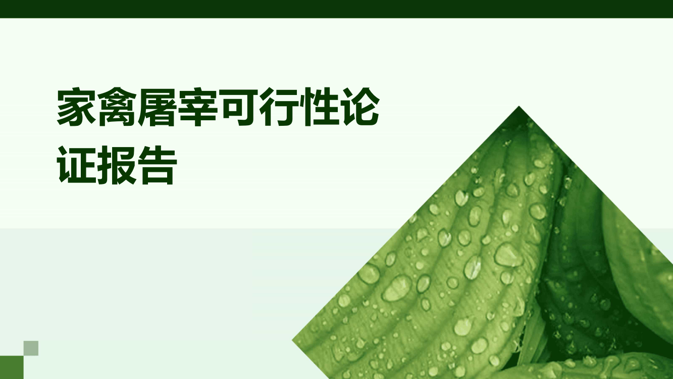 家禽屠宰可行性论证报告