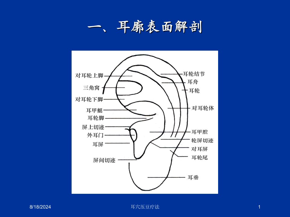 2021年耳穴压豆疗法